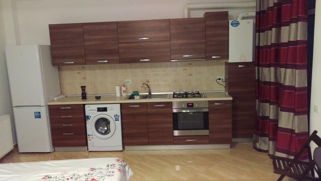 Garsoniere Dinu Apartment Bukares Ruang foto